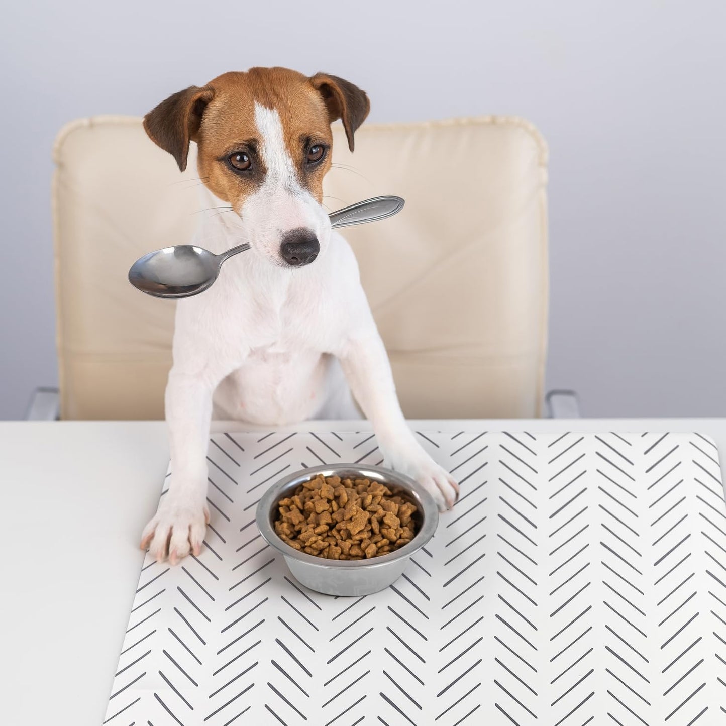 Large Dog Mat for Food and Water,
